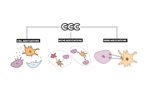Categorization of Spatial Transcriptomics Methods for Cell-Cell Communication Analysis