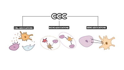 Categorization of Spatial Transcriptomics Methods for Cell-Cell Communication Analysis featured image