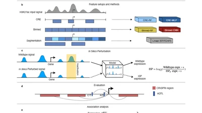 Prediction of gene expression from epigenome data featured image