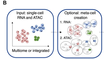 Prediction of single cell gene expression featured image