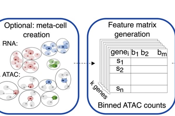 Prediction of single cell gene expression