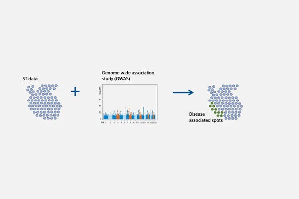 Placing regulatory variants into tissue context