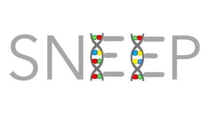 SNEEP featured image