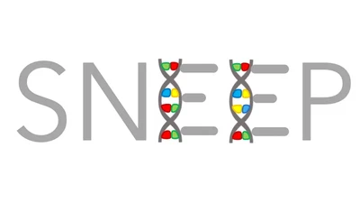 SNEEP featured image